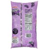 Tootsie Rolls Frooties Grape Candy (360 Count), 38.8oz