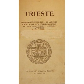 Carbon Steel Chinese Cantonese Style Wok Pan Frying Pan,14 inch,Two Side Handle