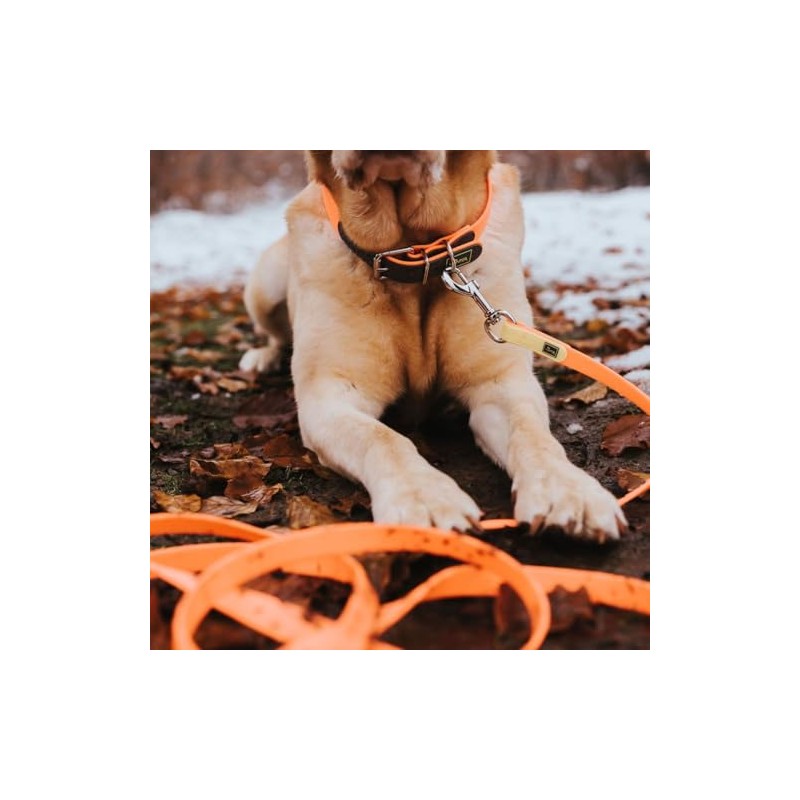 Hunter, Convenience Dog Collar, Made of Innovative Plastic Mix for