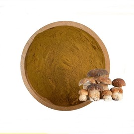 Mushroom Extract Powder Blend 100g Sample
