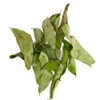 EliteKoopers 5g Dried Curry Leaves Natural Aromatic Organic Leaf
