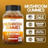 Mushroom Gummies 120 Count | Premium Mushroom Complex with Lion’s