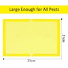Loocaa 10 Pack Sticky Traps Boards - Multi-Use Pests Sticky