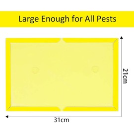 Loocaa 10 Pack Sticky Traps Boards - Multi-Use Pests Sticky Trap Pads for Indoor Outdoor Garden Kitchen Office