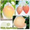 uxcell 10Pcs Mesh Net, Fruit Protection Bags 23.6x15.7 Inch 40D