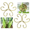 2PCS 6" Plant Stem Support,Stabilizer Grapple Holder for Monstera and