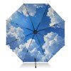 Coikll Large Windproof Umbrella Auto Open Folding Umbrella, 8 Ribs