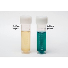 Medasa Water Test for Coliform Bacteria E.coli Test in Drinking Water and Well Water Check (1x Test Set)