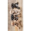 Jerry Fabrics Dog Puppy Bath Towel 70 x 140 cm