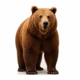 Brown Bear 5FT Life Size Cardboard Cutout – A Fun Animal Standup for Photo Booths, Birthday Parties, and Events