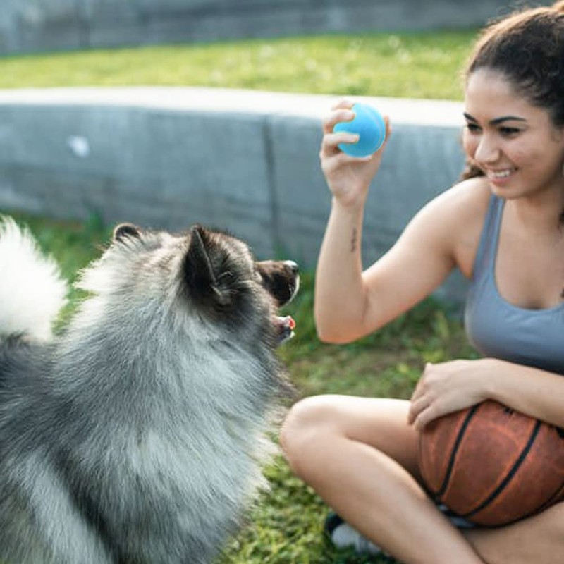 Swity Home Tennis Balls, Training Balls for Lessons, Practice, Playing