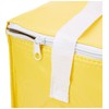 eBuyGB Lunch BBQ Camping Can Cooler Picnic Bag Box, Polyester,