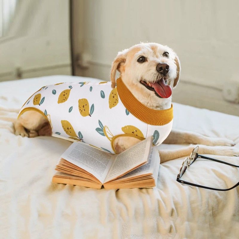 SAWMONG SAWMONG Recovery Suit for Dogs After Surgery Professional, Dog