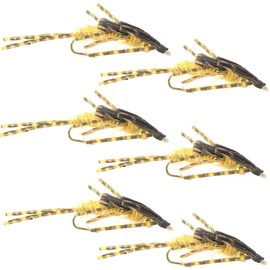 The Fly Fishing Place Double Bead Nymph Fly Fishing Flies - Mike's Golden Stone with Barred Rubber Legs - Stonefly Wet Fly - 6 Flies Hook Size 10