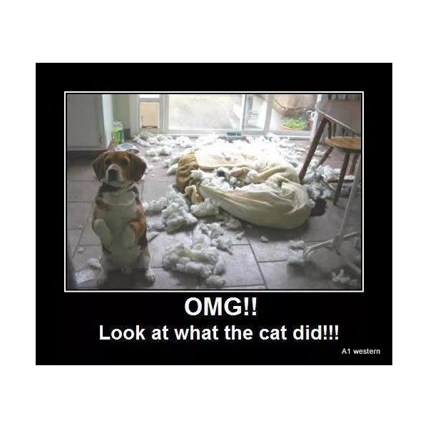 Funny Beagle refrigerator magnet 3 1/2 x 4 "