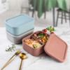 Silicone Bento Lunch Box Portable Reusable 3 Compartment Microwaveable Bento