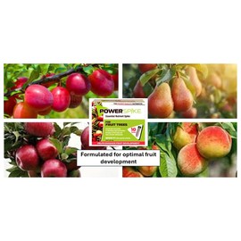 Power Spike for Fruit Trees. Essential Nutrient Spike formulated to Feed All Types of Fruit Trees (Apple, Peach, Orange, Lemon, Lime, etc.) and Address Common Deficiencies (10 Spikes - 3.2 Lbs)