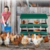 Chicken Nesting Box With 8 Compartments - Roll Away Laying