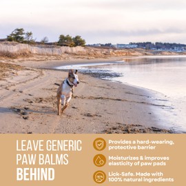 Rhino Wax - Dog Paw Balm for Summer (2 Pack) - Summer Paw Care for Dogs - Protects Paws Against Hot Pavement, Sharp Rocks, Sand, Beach Hazards - Natural Ingredients- Made in The USA