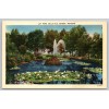 c1940s Lily Pond Belle Isle Detroit Michigan Postcard