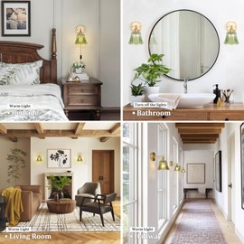 Shenmoyl Vintage Battery Operated Wall Sconce, Wireless Battery Powered Rose Wall Sconces with Remote Control, RGB Dimmable LED Plug in Wall Light for Bedside Bathroom Living Room (Green)