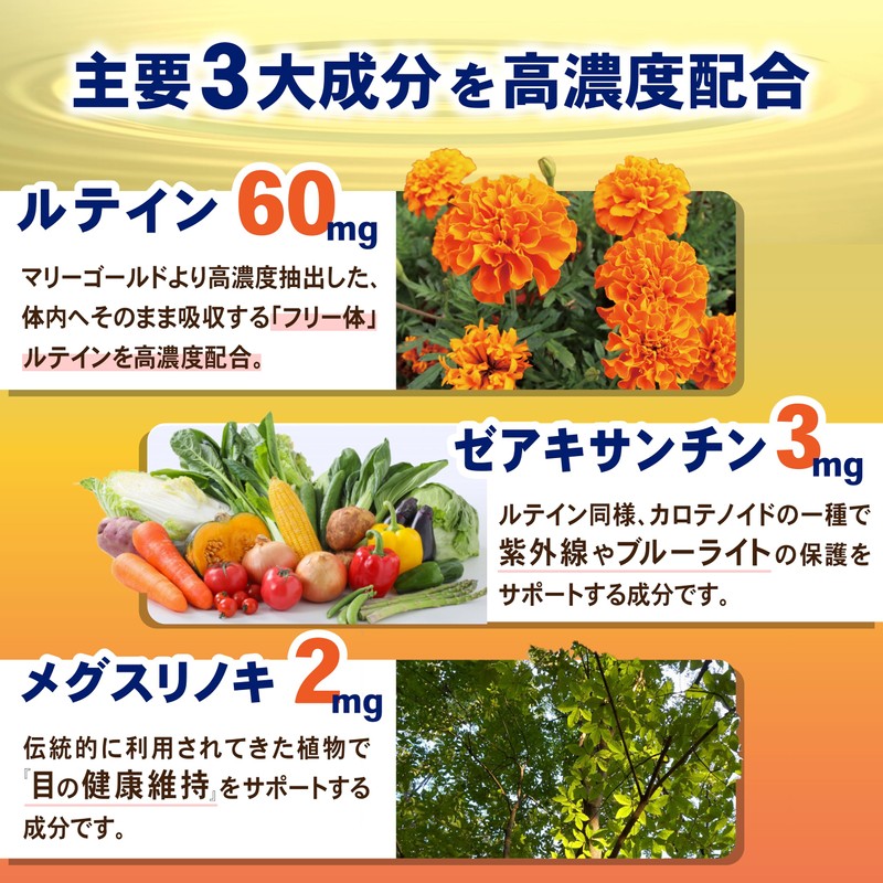 目 サプリ【長時間PC・スマホのアイケアに】ルテイン60 ＋ メグスリノ木 60粒（約30日分）ゼアキサンチン [国内生産] ワダカルシウム製薬
