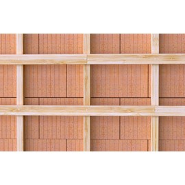 Fischer 048789 Nail bolt N 6 x 60 Z GP Plastic nail plug 6 mm 100 Units