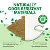AIRNEX Natural Kitchen Sponges (6 Pack) - Biodegradable Cellulose &