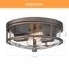 Rosient Flush Mount Ceiling Light Fixture, 12 inch 2-Light Modern