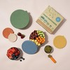 Everusely - Stainless Steel Containers with Lids - Set of