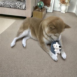 Squeaky Dog Toys for Small, Medium, and Large Pets, Cute Interactive Plush Dog Chew Toys, Bunny, Platypus and Hedgehog, 3 Pack