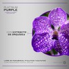 Martha Debayle Mascarilla Platinum Purple 200ml
