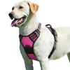 Eagloo Dog Harness No Pull, Walking Pet Harness with 2
