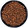 SLEEK & SASSY in-Shell Pine Nuts for Birds (32 oz.)