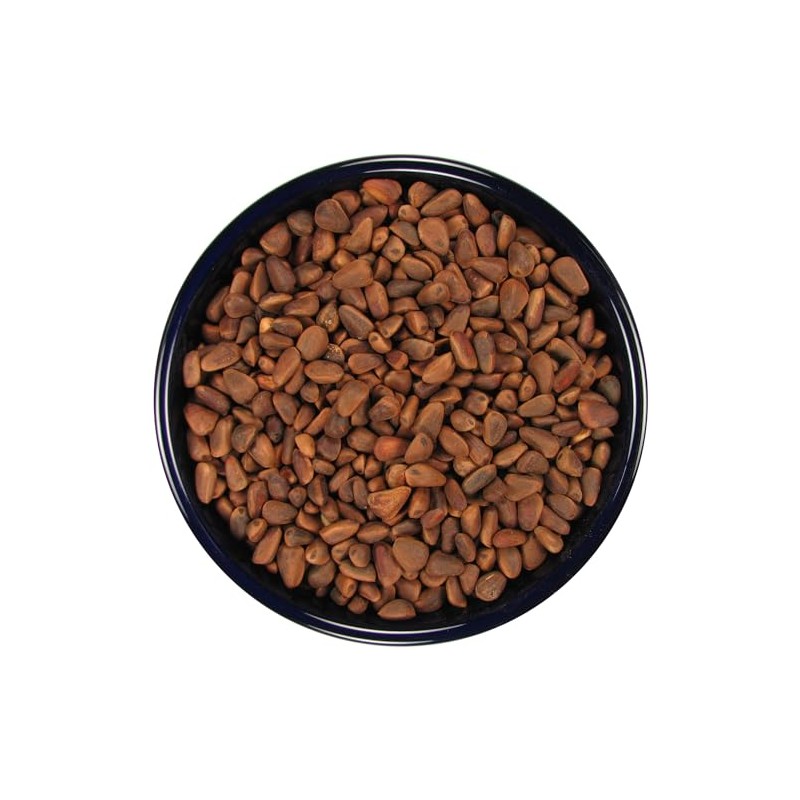 SLEEK & SASSY in-Shell Pine Nuts for Birds (32 oz.)