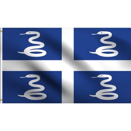 DMSE Snake French Region of Martinique Flag 3X5 Ft Foot 100% Polyester 100D Flag UV Resistant (3' X 5' Ft Foot)