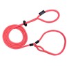 Harness Lead, Escape Resistant Leash, Reduces Pull, Dog Harness