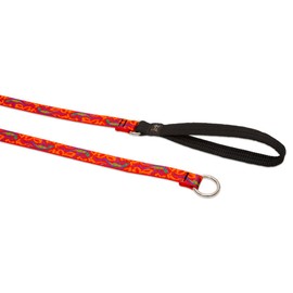 LupinePet 3/4" Originals 6-foot Slip Lead/Leash for Medium and Larger Dogs