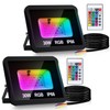 Jaxguom RGB LED Outdoor Spotlight, 2 x 30 W with