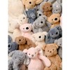 Hampton the Plush Teddy Bear – 35 cm Soft Stuffed