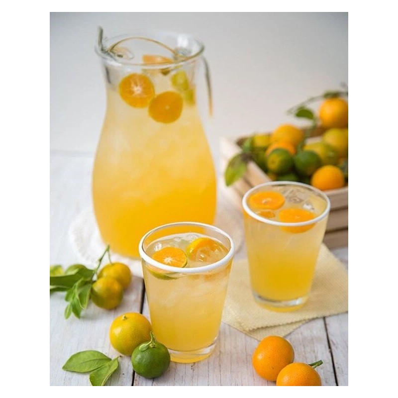 Tree 3Gal Fruiting CALAMANSI/ CALAMONDIN Sour Citrus Airlayered Bush Tree