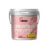 Creatina Monohidratada Flamish 3kg 600 Servicios Sabores