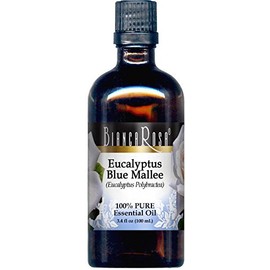 Eucalyptus Blue Mallee Essential Oil (3.40 oz, ZIN: 429107)