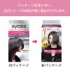 Syoss COLORGenic Milky Hair Color, PA02 Pearly Ash 2P+Bonus