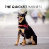 EzyDog Quick Fit Dog Harness - Premium Padded No-Pull Harness,