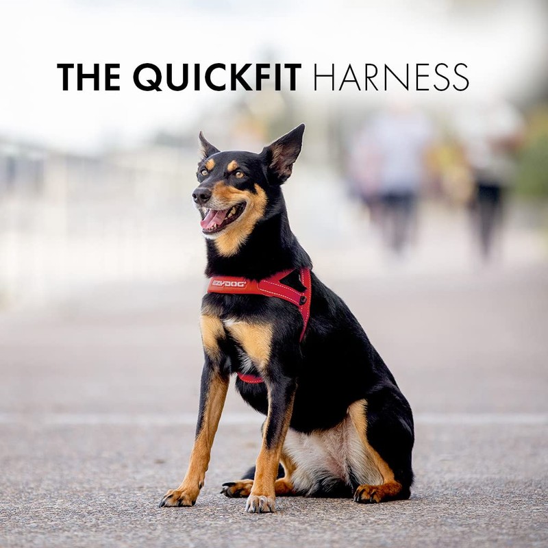 EzyDog Quick Fit Dog Harness - Premium Padded No-Pull Harness,