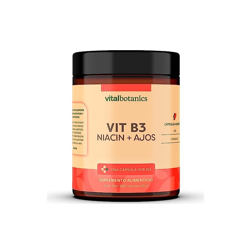 Vitamina B3 Niacina y Ajo. Con 120 capsulas de 500mg
