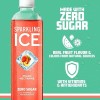 Sparkling Ice Peach Nectarine Sparkling Water Zero Sugar 17 fl