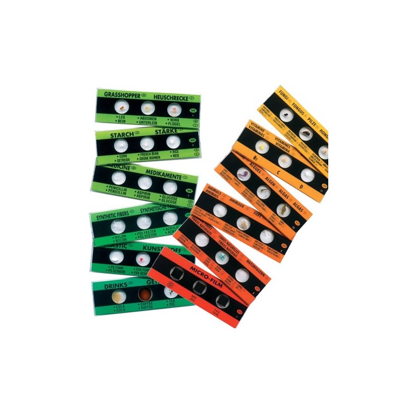 6 Slides with 3 Preparations for Student Microscopes