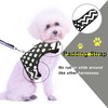 Small Dog Harness and Leash Set Small Pet Harness, Adjustable